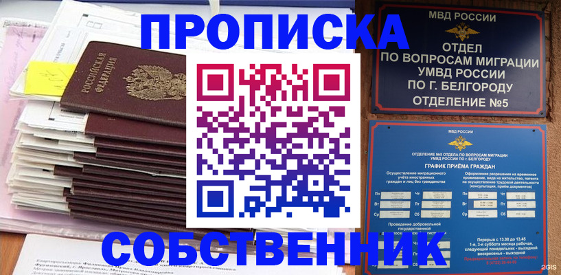 прописка законно в Барыше